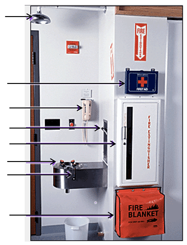ETLV_1ere Activity 1 Lab safety