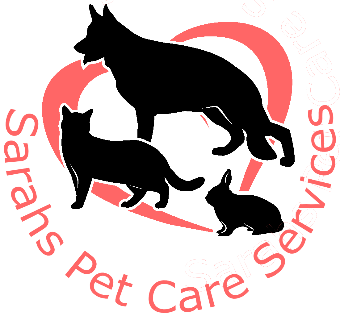 Dog Walking Stamford Rutland & Oakham Pet Sitting By Sarahs Pet Care