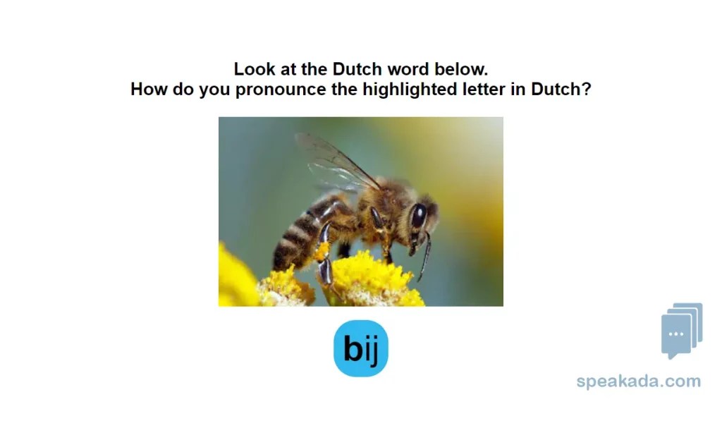 Anki Dutch Flashcards to Start Learning Dutch Now SPEAKADA