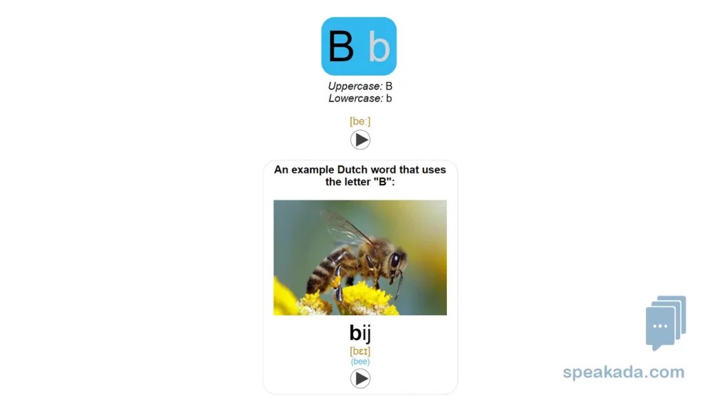 Learn Dutch Alphabet Flashcards With Anki for Beginners Now SPEAKADA