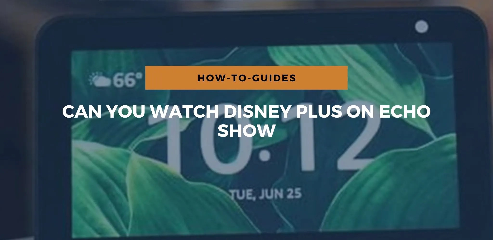 Can You Watch Disney Plus On Echo Show?