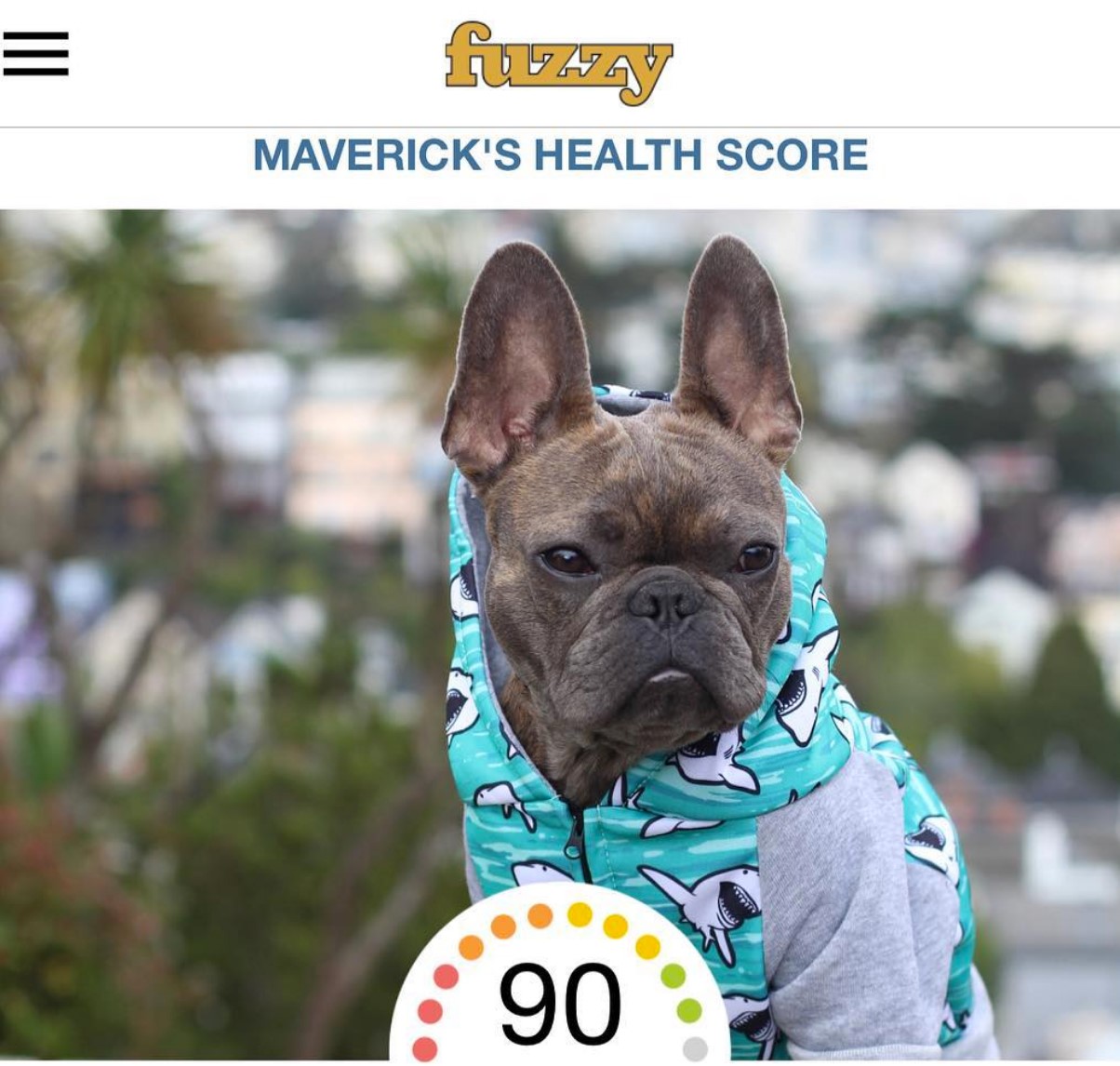 Fuzzy A Brand New Concept in Healthcare for Pets Spot Speaks