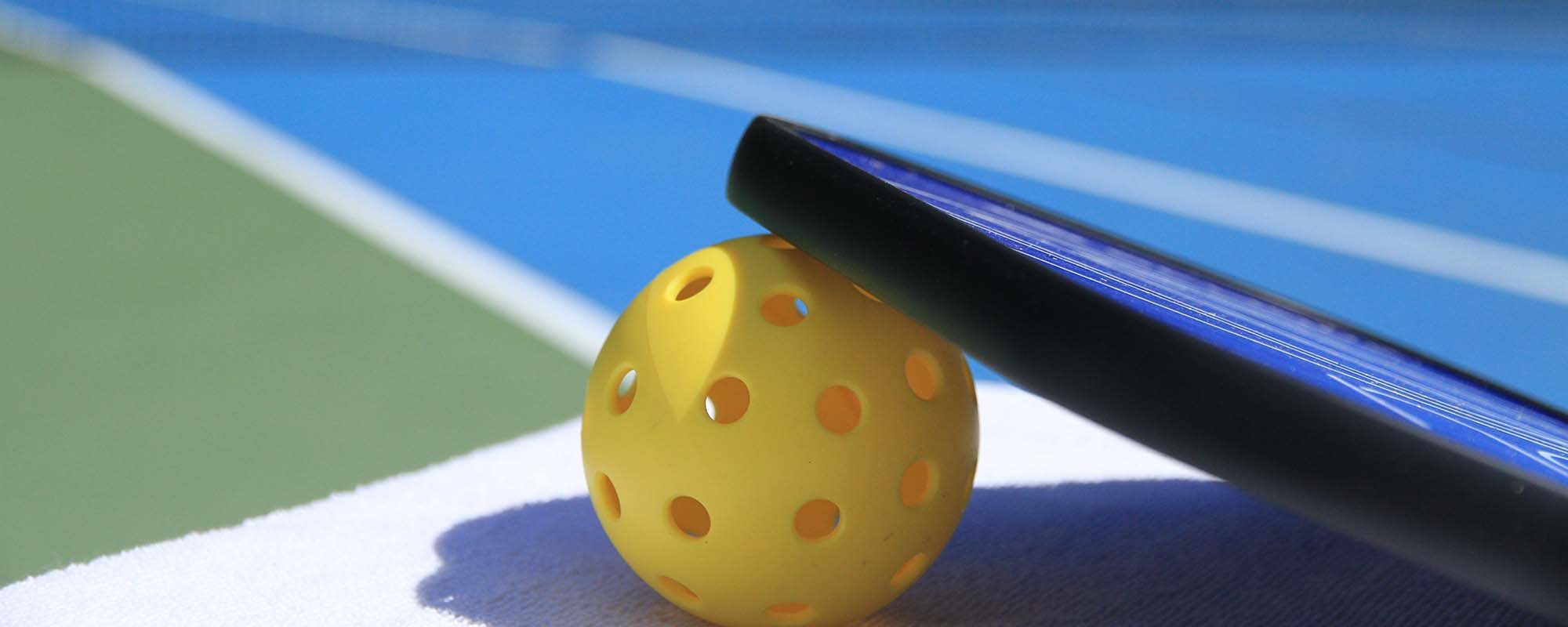 About the Spearfish Pickleball Club Spearfish Pickleball Club