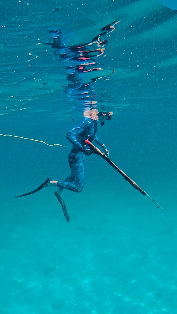 Discover Spearfishing Spearmex