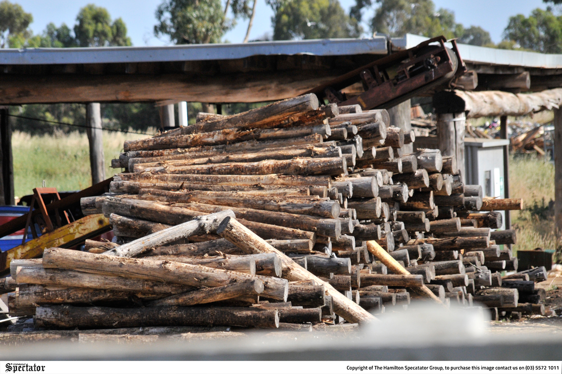 Timber industry awards postponed
