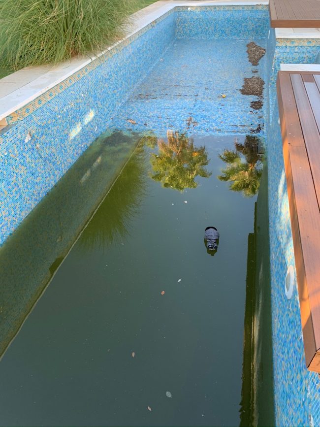 Swimming Pool Tiling and Renovation, San Roque Specialised Build