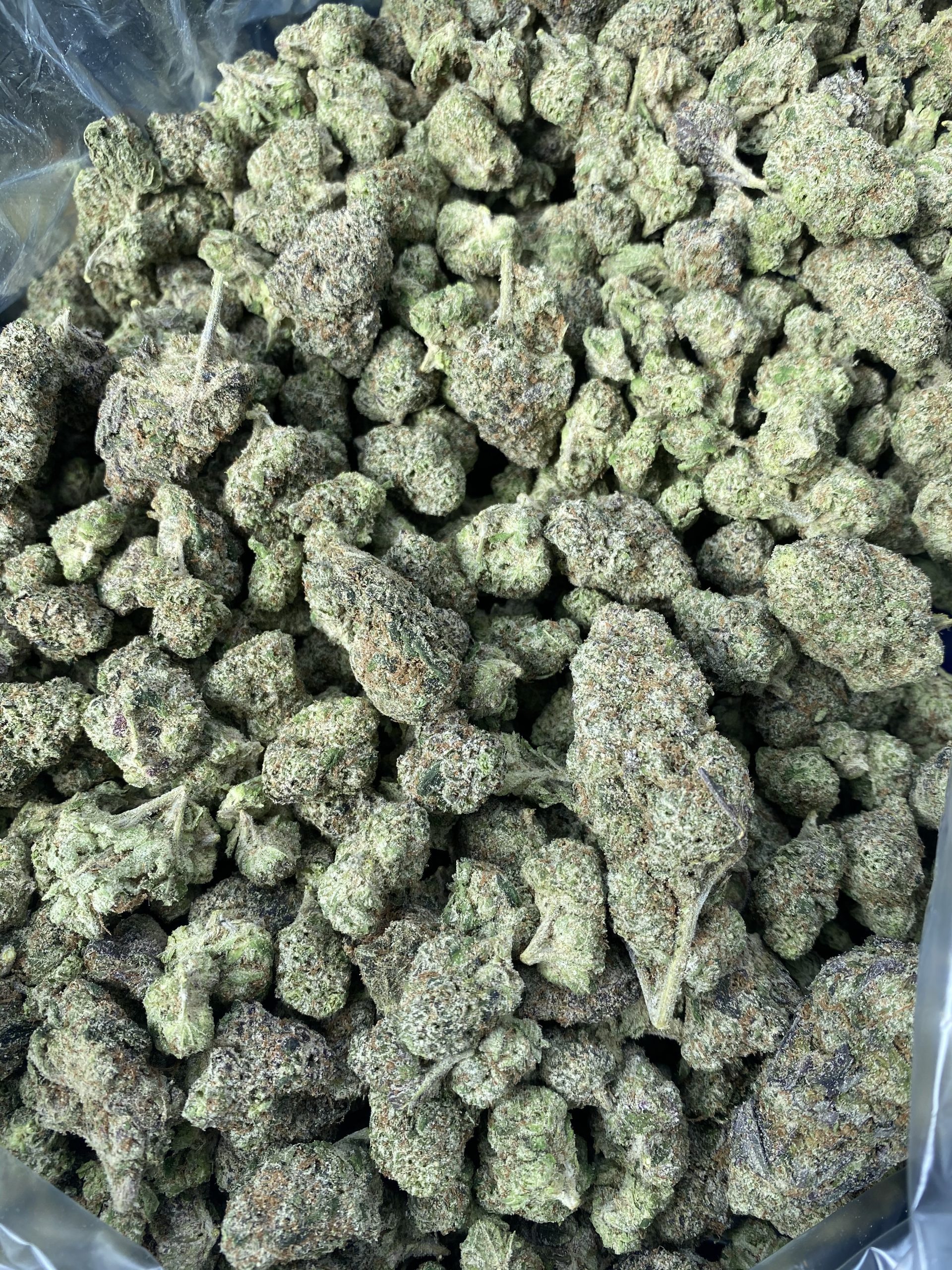 Pink Runtz NEW Arrival SpecialMedz Delivery