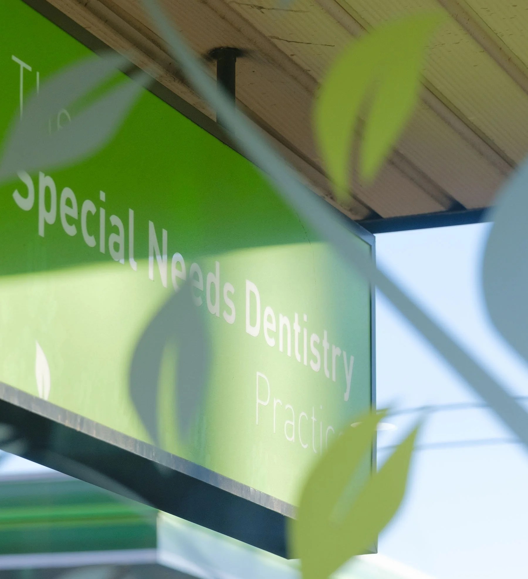 Team Special Needs Dentistry