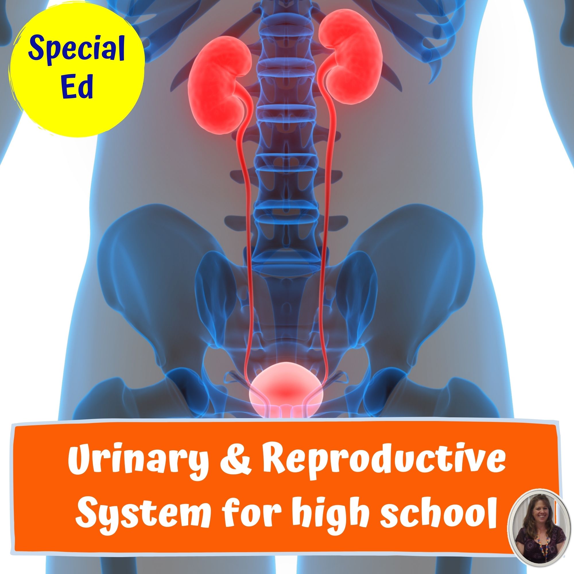 Urinary and Reproductive System for High School Special Ed with lesson