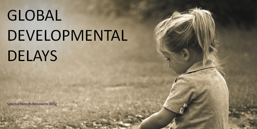 Global Developmental Delays Special Needs Resource and