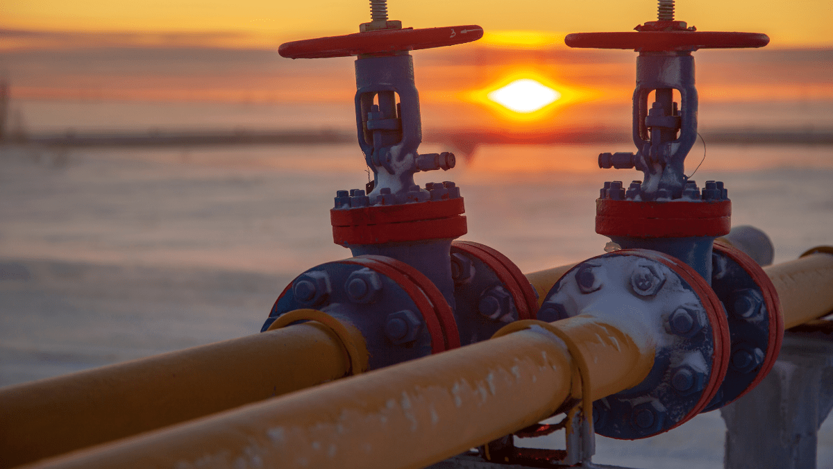 Special Piping Materials Blog News and Articles about Steel