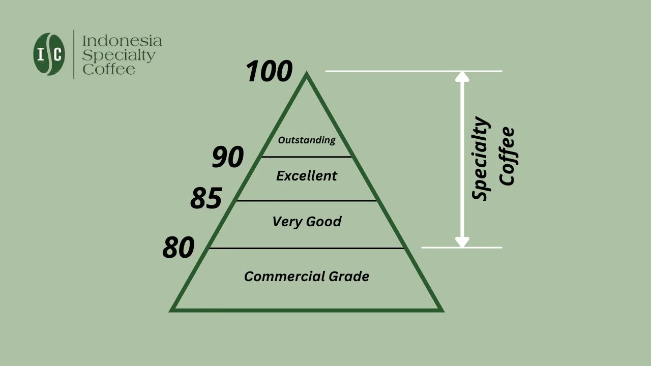 Beyond the Cupping Score: The SCA’s Coffee Value Assessment Explained