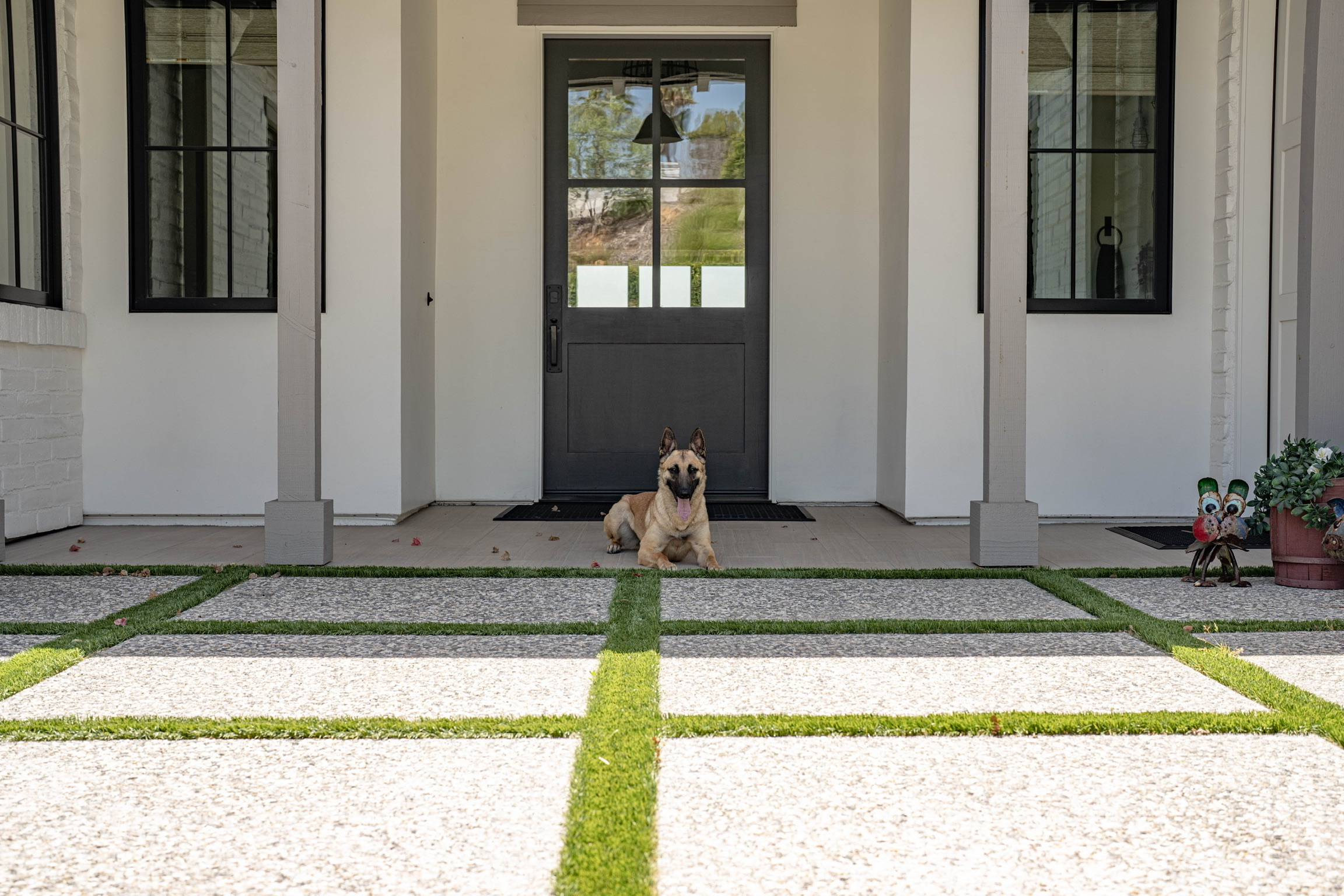 The Ultimate Guide to Personal & Family Protection Dogs Your Best