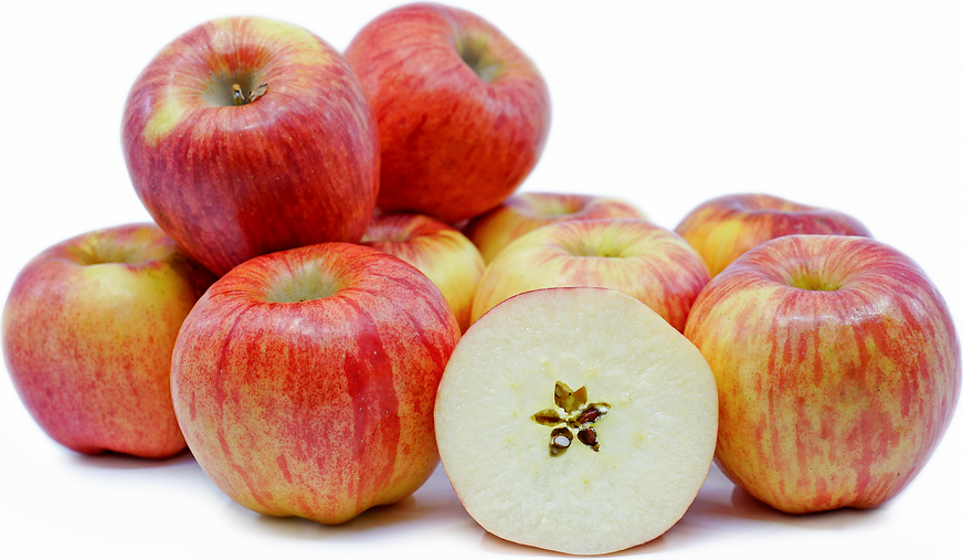 Autumn Glory® Apples Information and Facts