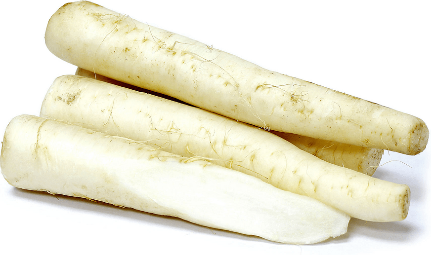 Organic Daikon Radish Information and Facts