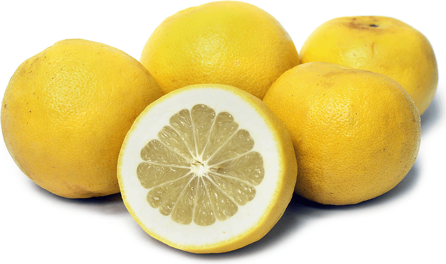 Cocktail Grapefruit Information and Facts