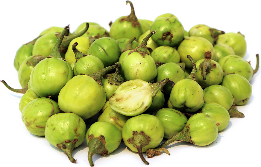 Likok Information, Recipes and Facts