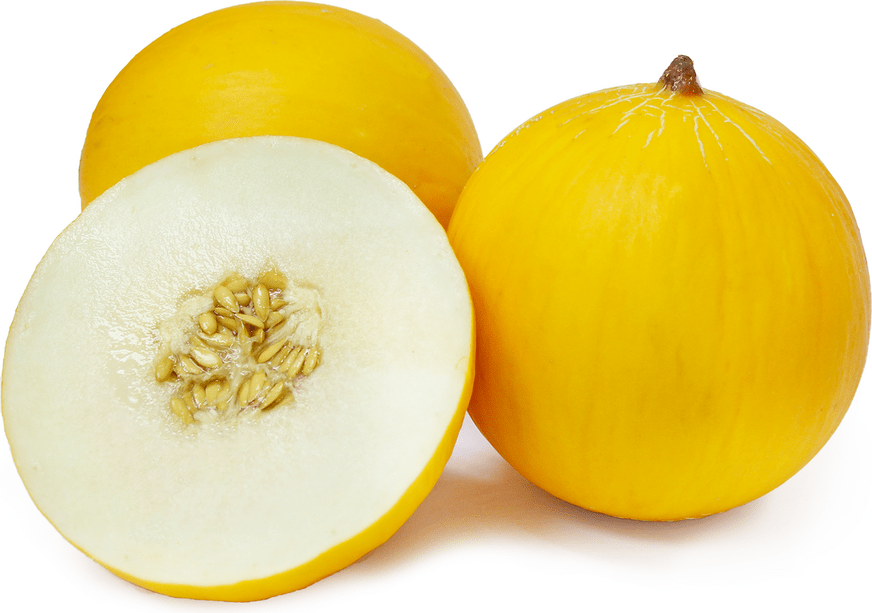 Fonzy Melons Information and Facts