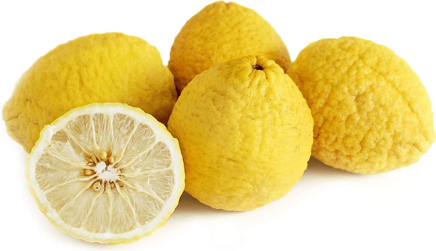 Alemow Citrus Information and Facts