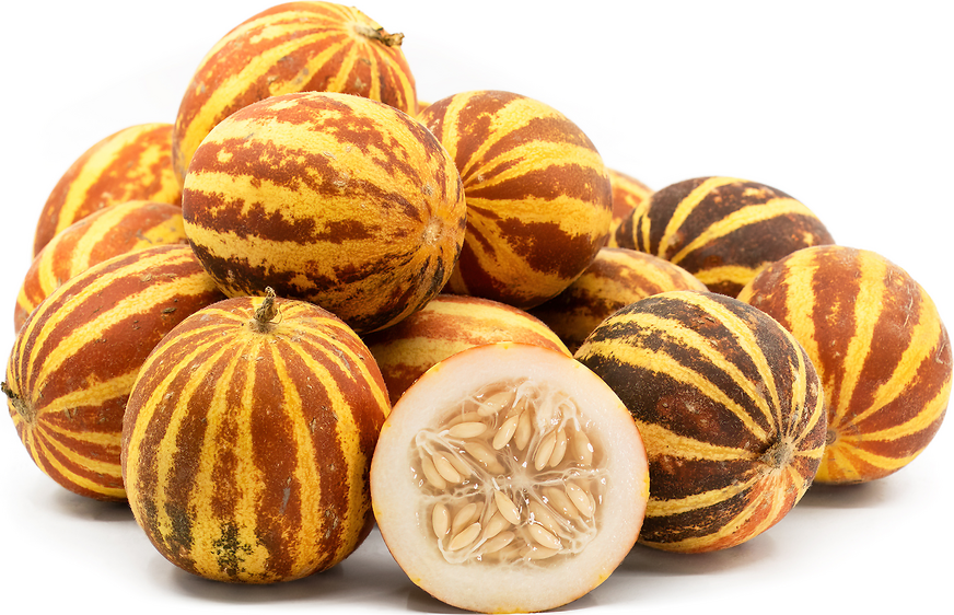 Rich Sweetness Melon Information and Facts