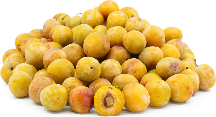 Mirabelle de Metz Plums Information, Recipes and Facts