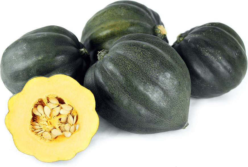 Acorn Squash Information and Facts