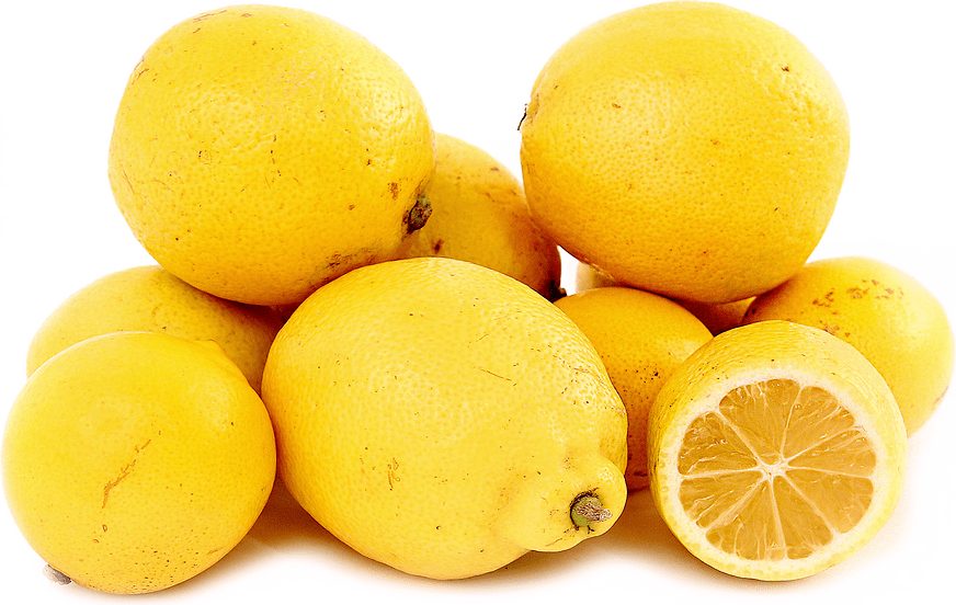 Meyer Lemons Information and Facts