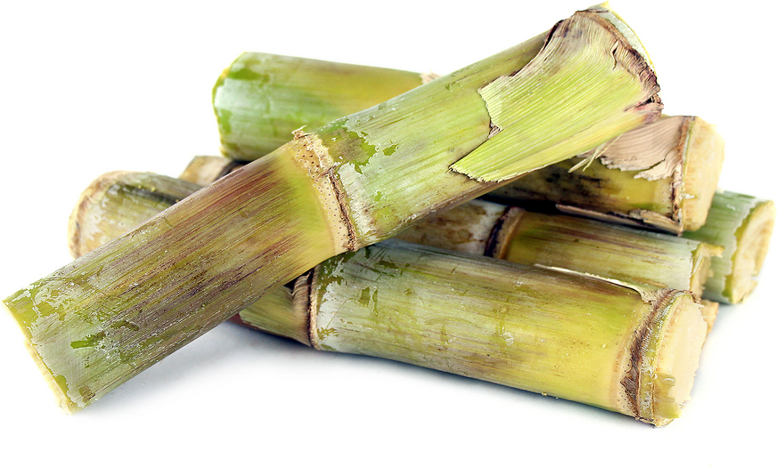 Sugar Cane Information, Recipes and Facts