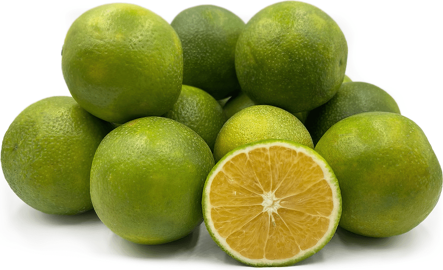 Green Orange (Mosambi) Ton