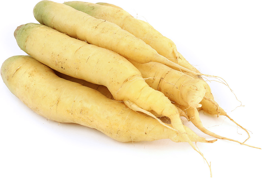 White Carrots Information and Facts