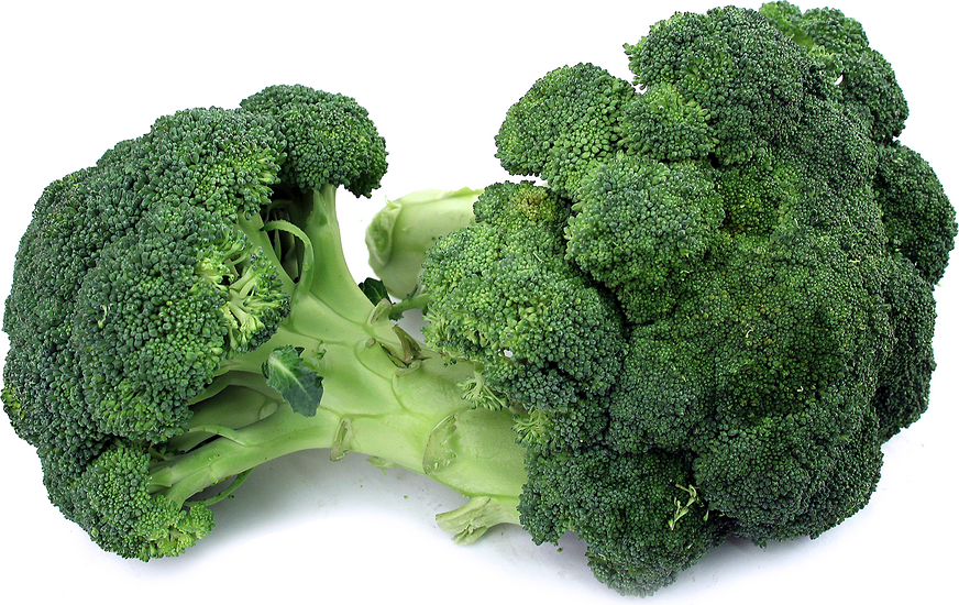 Broccoli Information and Facts