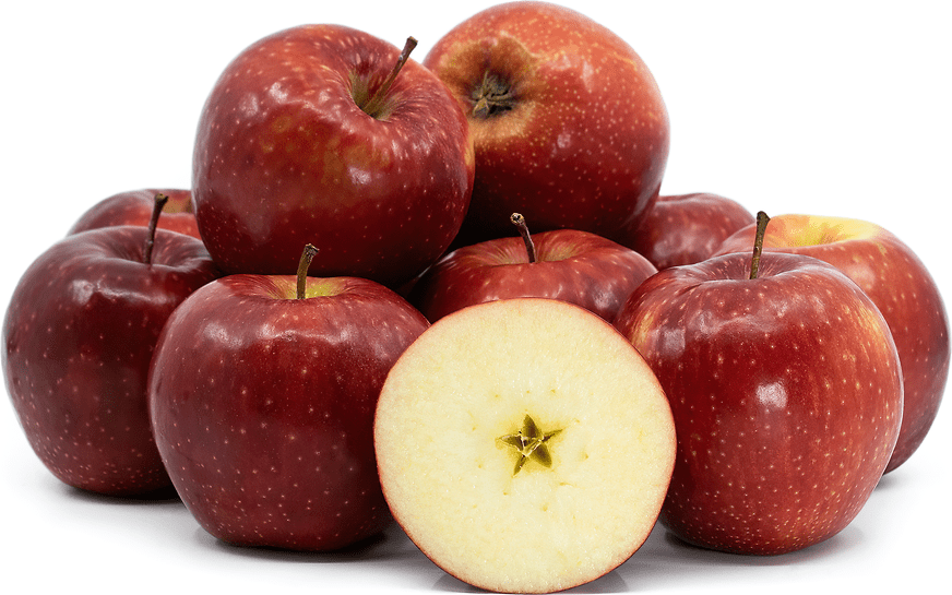 Red Prince Apples Information, Recipes and Facts