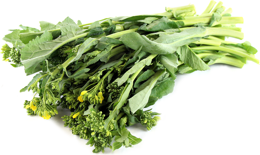 Thai Rapini Information and Facts