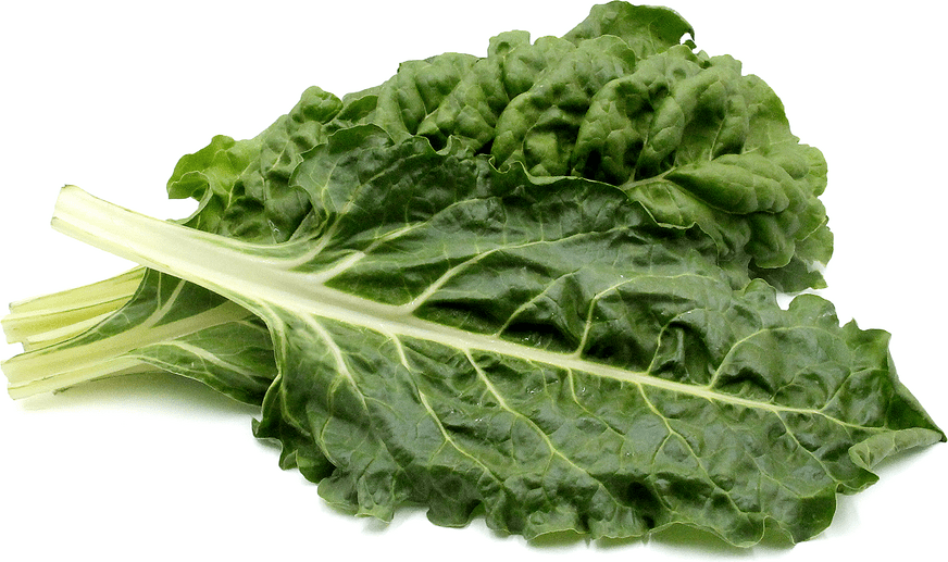 Organic Green Chard Information and Facts