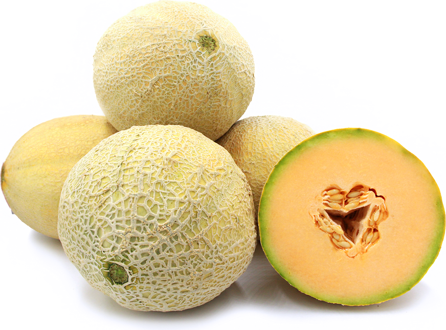 Athena Melons Information and Facts