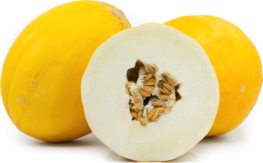 Brilliant Melons Information and Facts