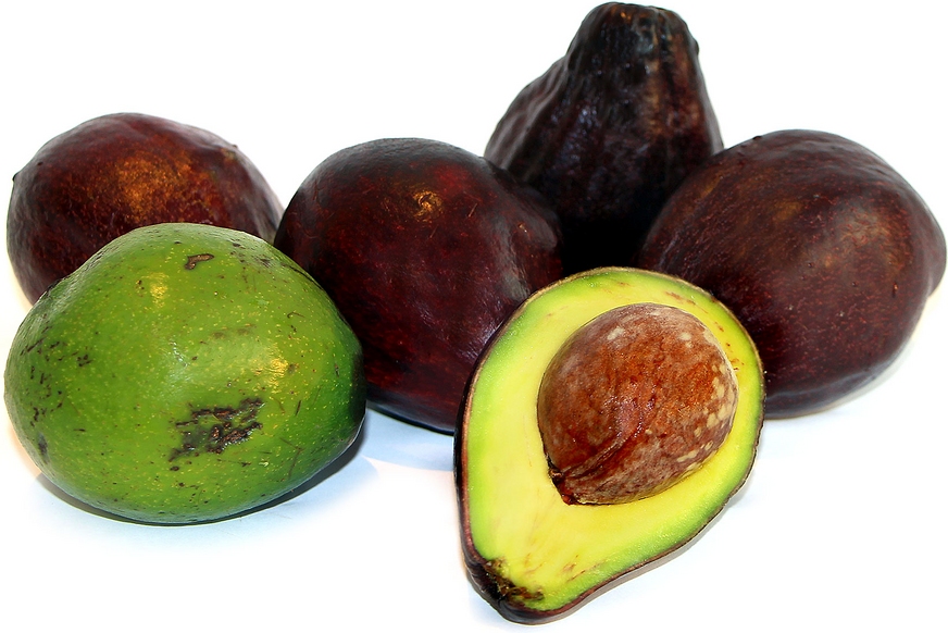 Indian Avocados Information and Facts