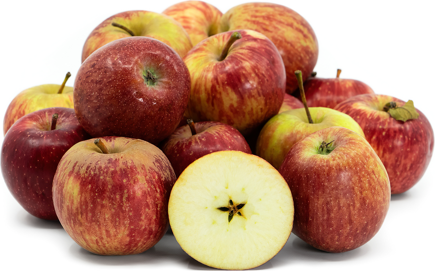 Shimla Apples Information and Facts