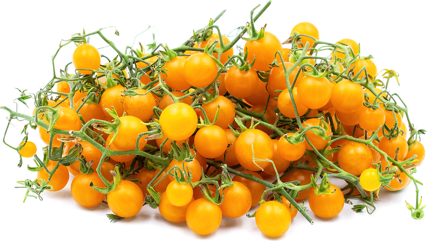 Yellow Currant Tomatoes Information and Facts