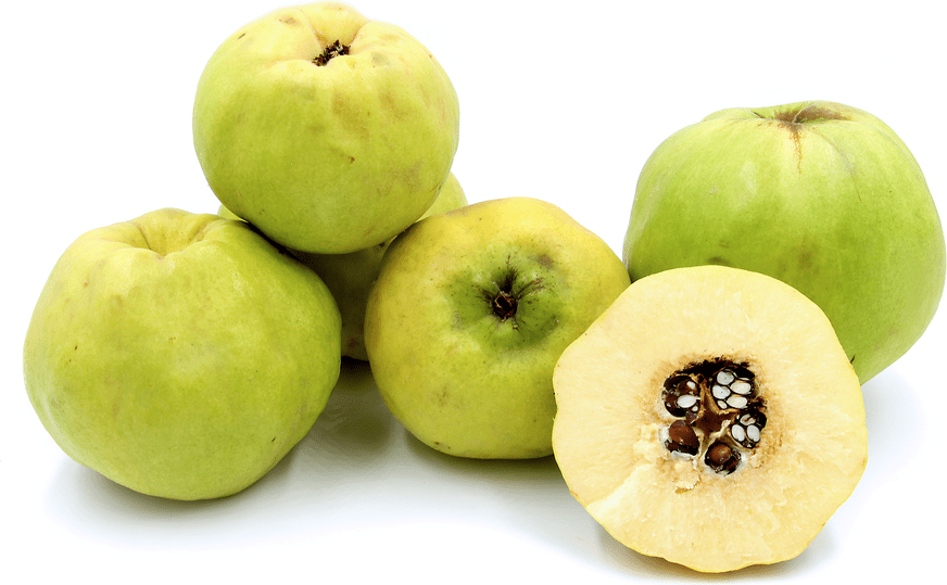 Quince Information and Facts