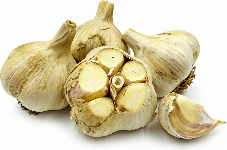 German White Garlic Information and Facts