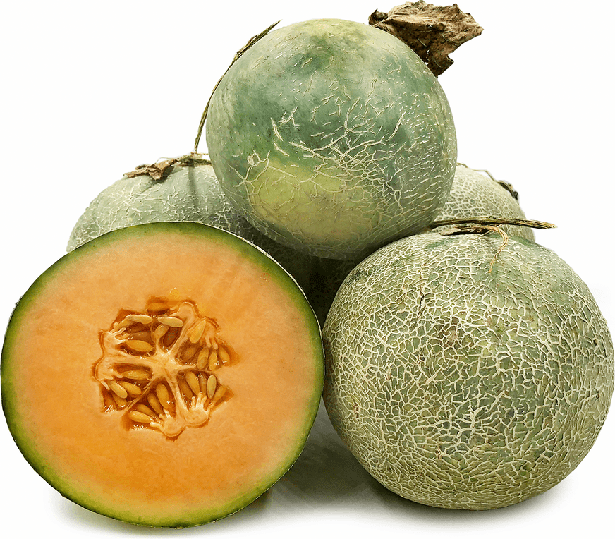 Malaysian Rock Melon Information and Facts
