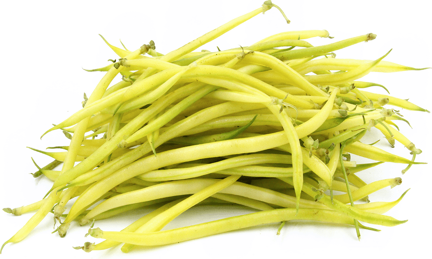 Yellow Baby French Beans Information and Facts