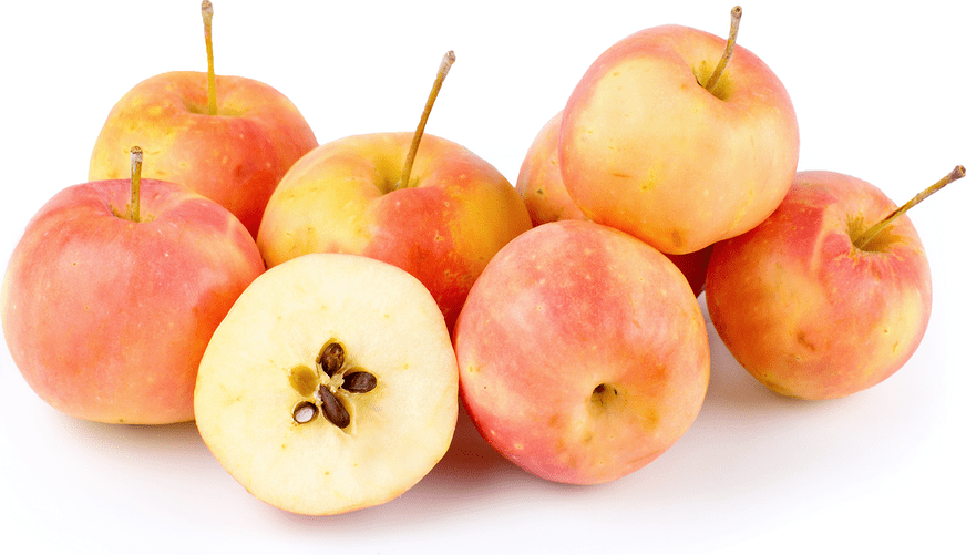 Hewe's Crabapples Information and Facts