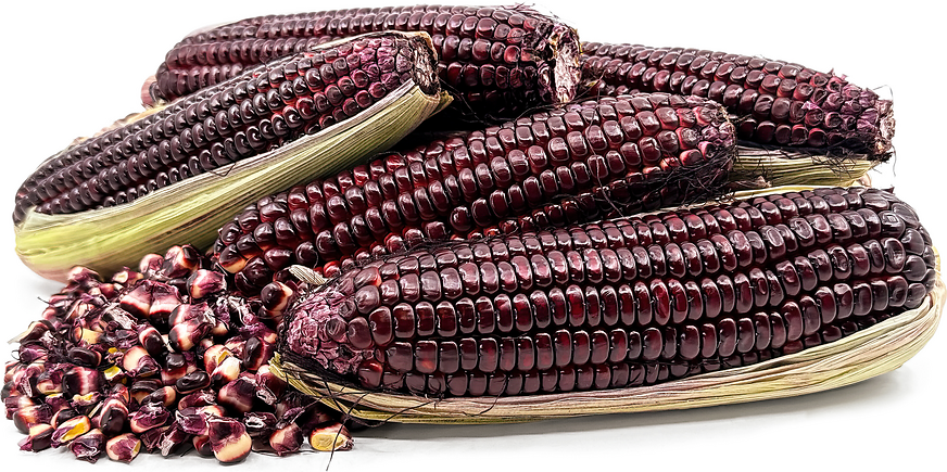 Purple Corn Information and Facts