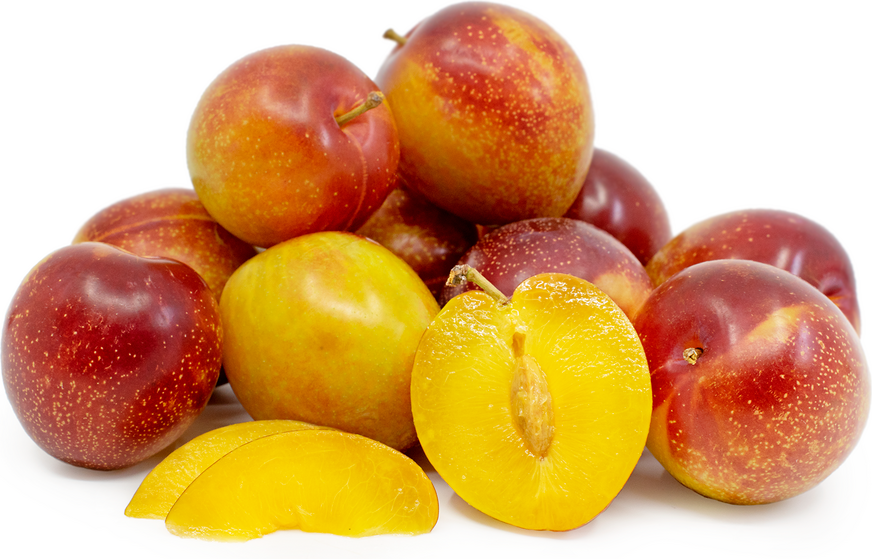 Sierra Plums Information and Facts