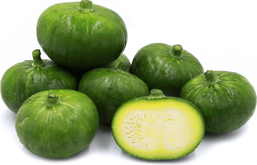 Zapallo del Tronco Squash Information and Facts