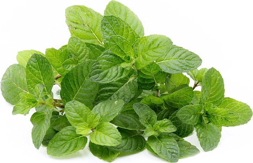 Berries and Cream Mint Information and Facts