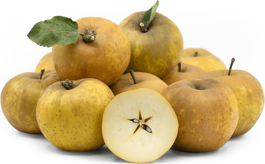 Saint Edmund's Pippin Apples Information and Facts