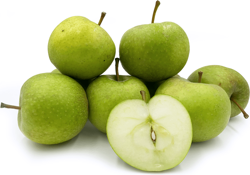 Norman's Pippin Apples Information and Facts
